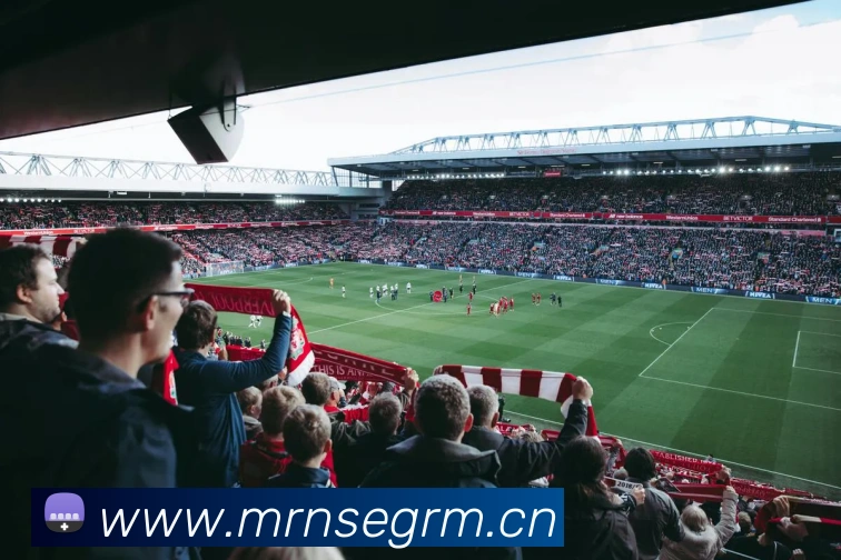 mksports官网平台生态图