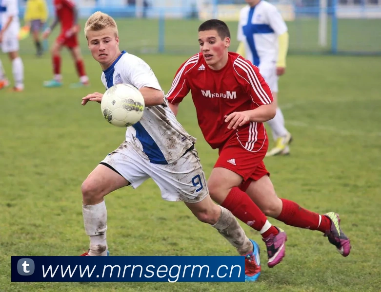 mksports官网全站App